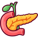 Pancreas