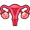 Uterus & Ovaries