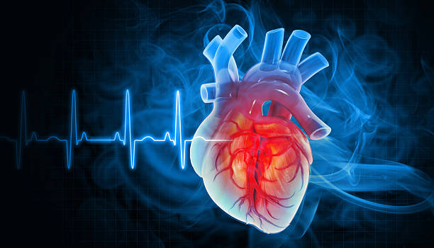 Sehatchek Heart
